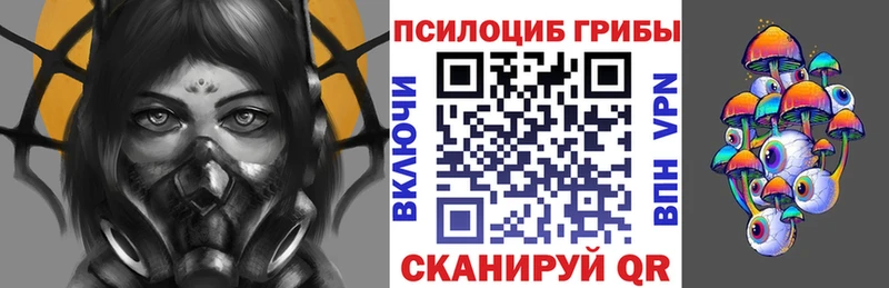 darknet какой сайт  Свободный  Галлюциногенные грибы Psilocybine cubensis 