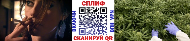 где купить   Свободный  блэк спрут ССЫЛКА  Бошки Шишки MAZAR 